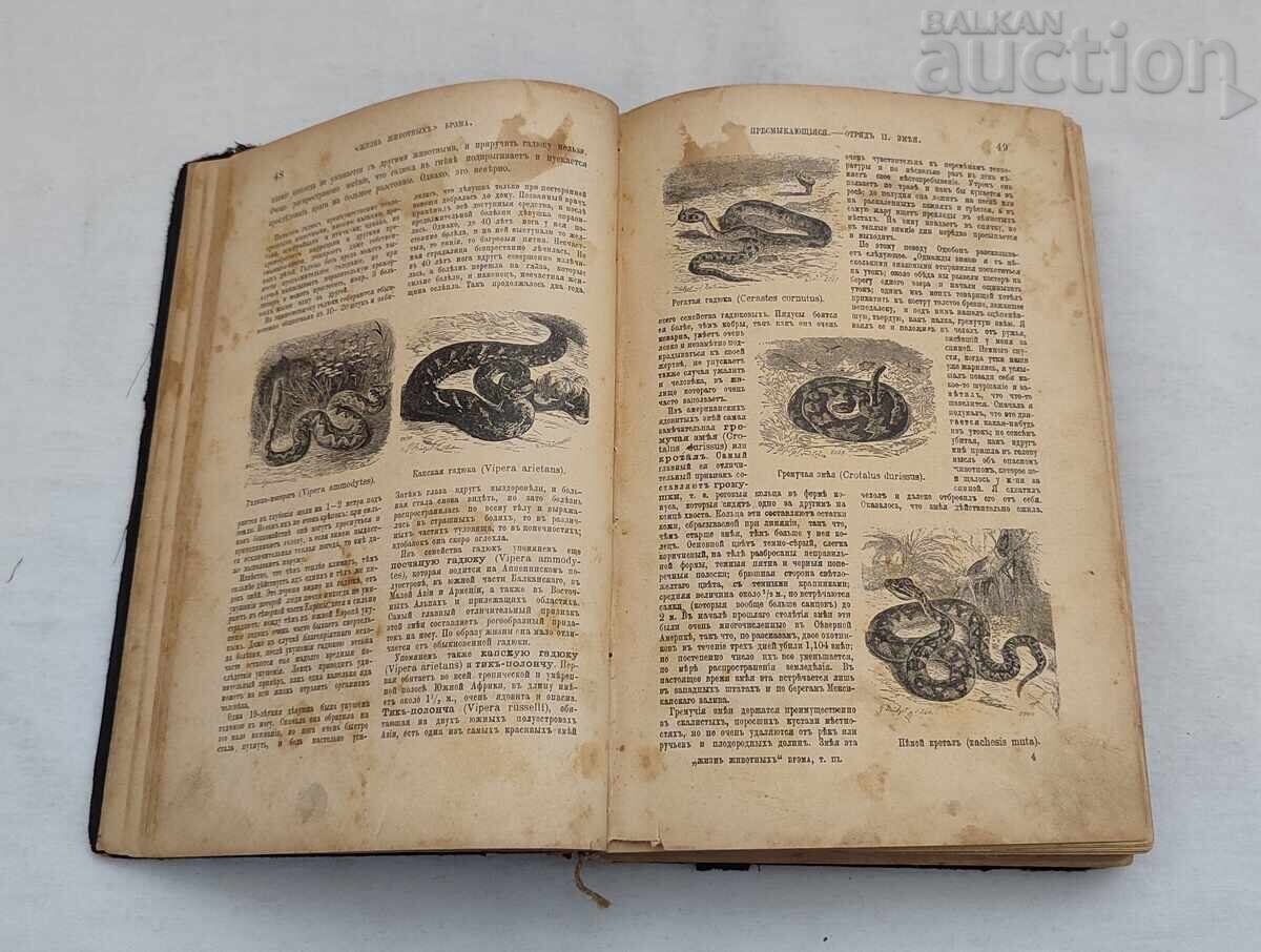 Licitație VIAȚA ANIMALELOR A.E. BREHM 1902 Sankt Petersburg Vol. 3