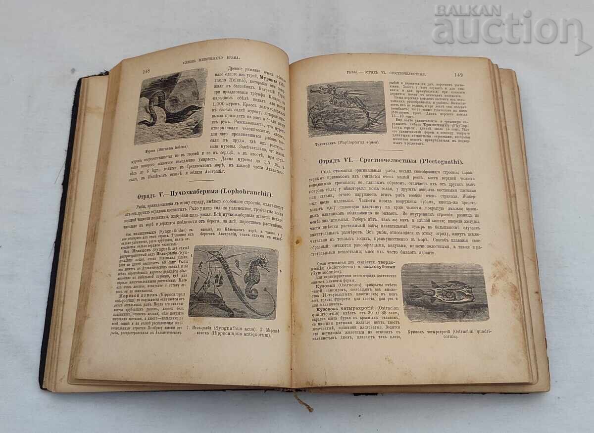 Delivery of ANIMALS' LIFE A.E. BREHM 1902 St. Petersburg Vol. 3