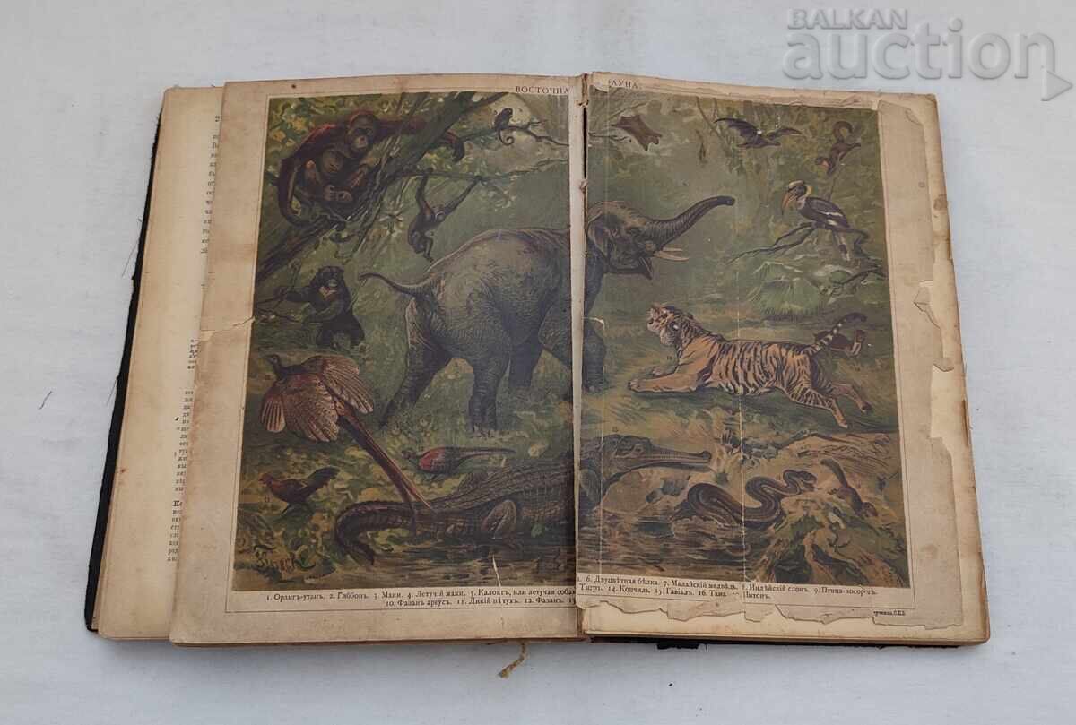 ANIMALS' LIFE A.E. BREHM 1902 St. Petersburg Vol. 3 - 6