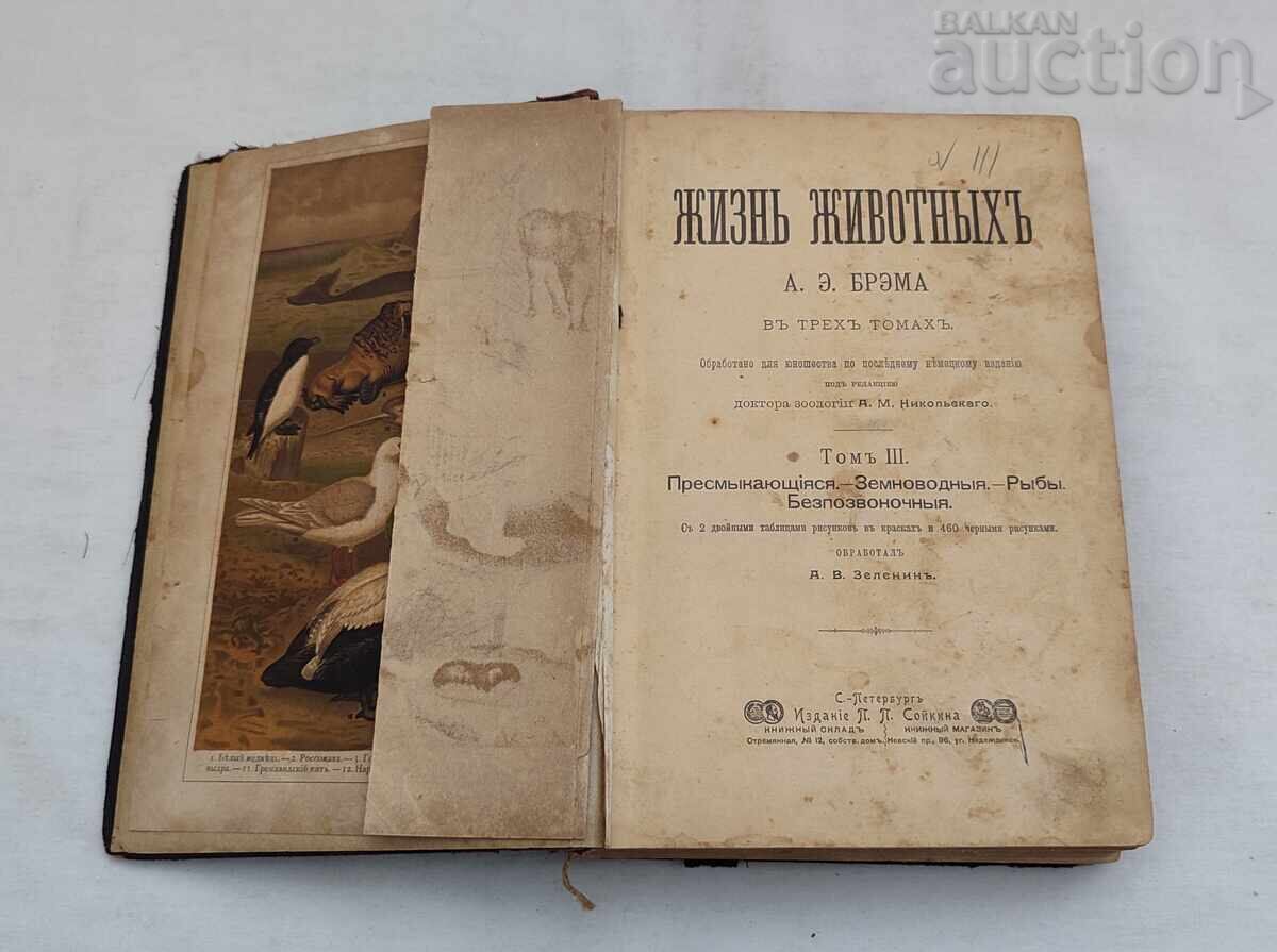 ANIMALS' LIFE A.E. BREHM 1902 St. Petersburg Vol. 3