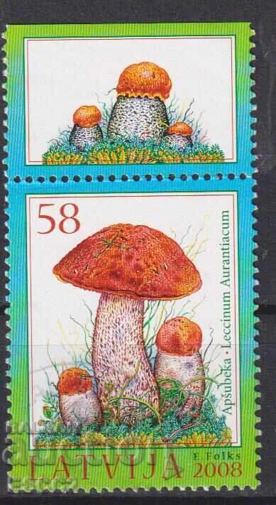 Certified Flora Fungi stamp 2008 from Latvia Certified Flora Fungi stamp 2008 from Latvia