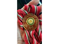 Chest badge medal CSKA September flag