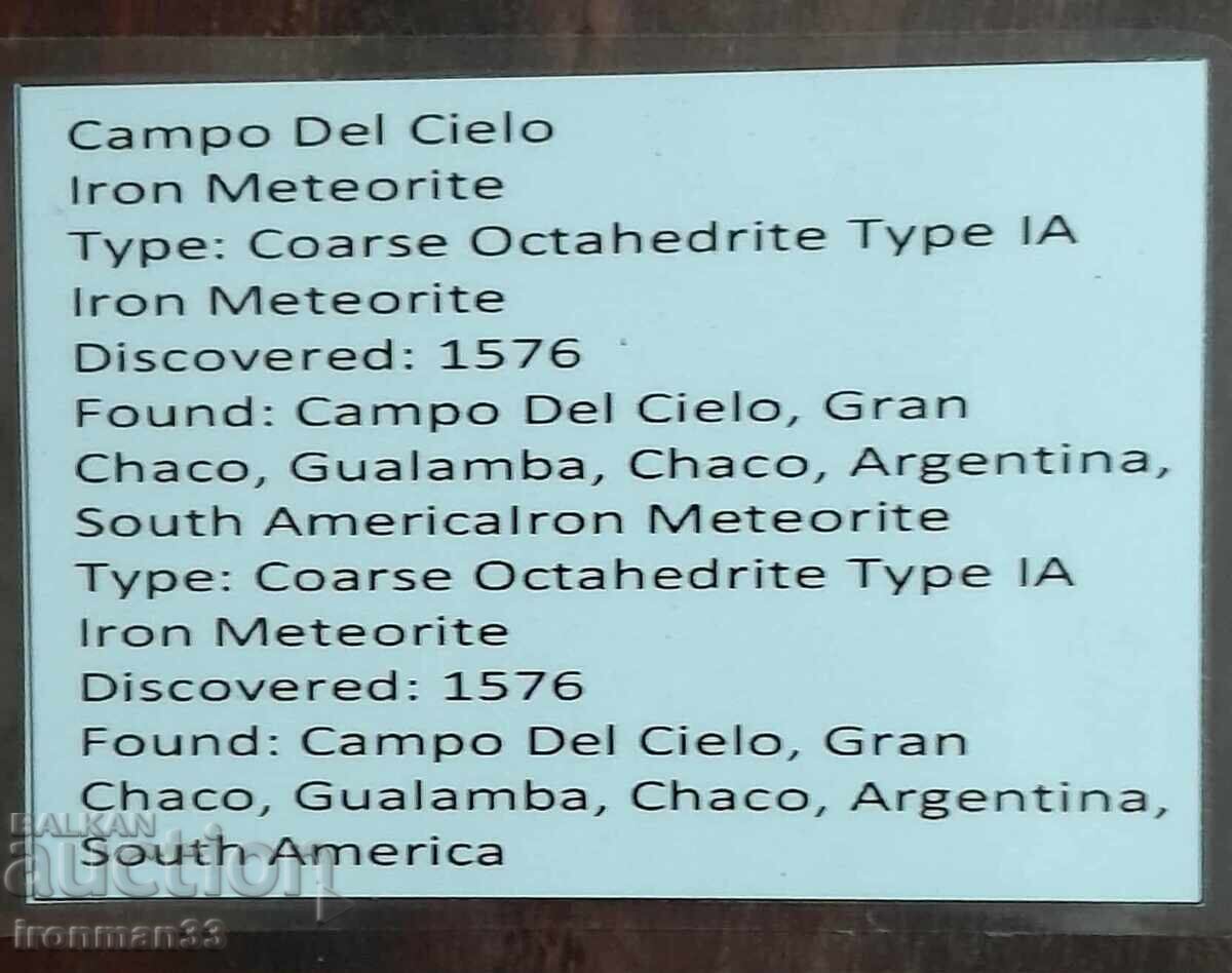 Auction  Campo del Cielo Meteorite