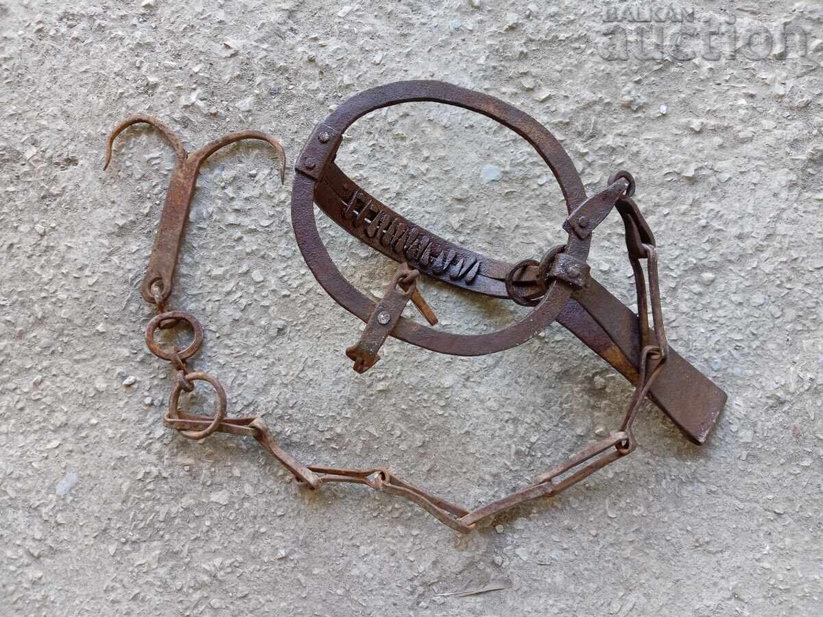 Antique Wrought Iron Wolf Trap - 6