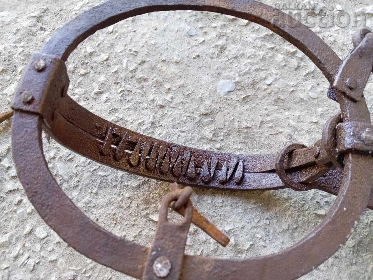 Antique Wrought Iron Wolf Trap - 7