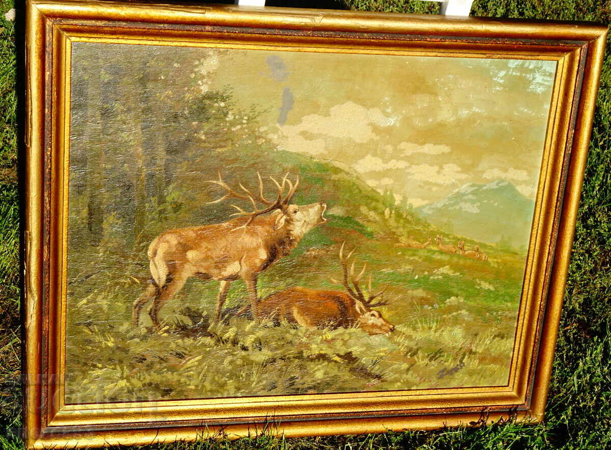 Veche pictură în ulei, Cerb, Căprioare, Câștigător, Semnătură cu preț 199.00 BGN | € 101.75