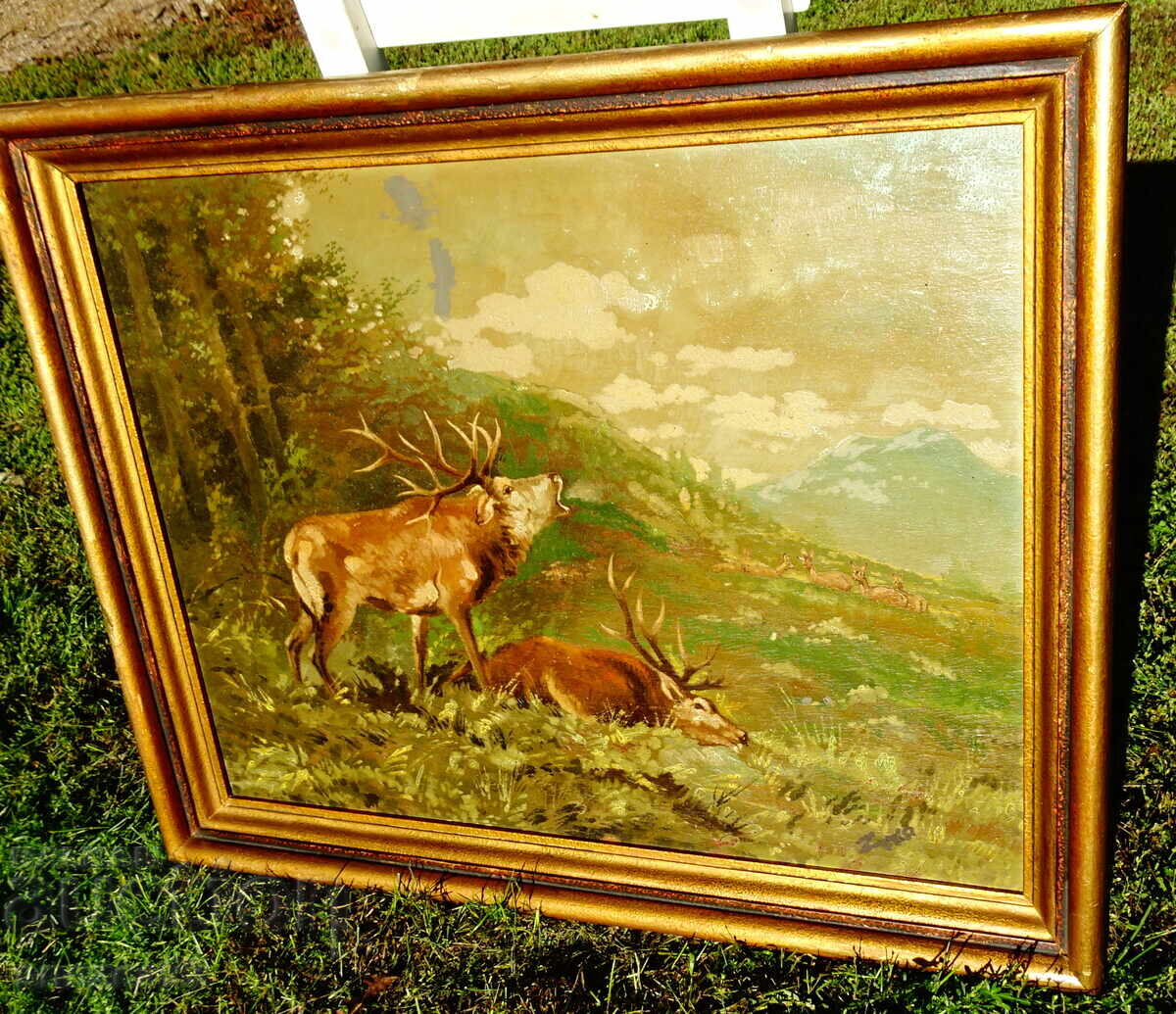 Licitație Veche pictură în ulei, Cerb, Căprioare, Câștigător, Semnătură