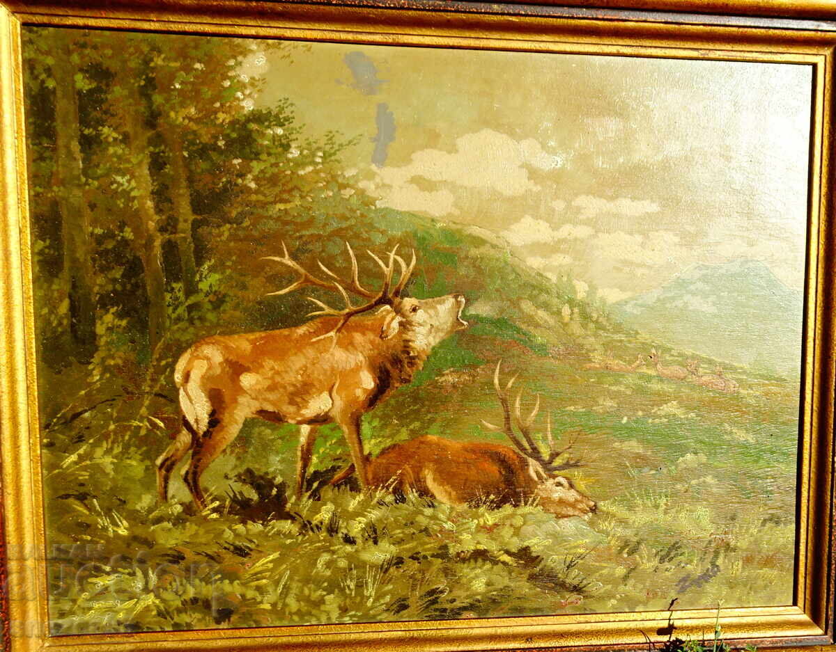 Livrarea Veche pictură în ulei, Cerb, Căprioare, Câștigător, Semnătură