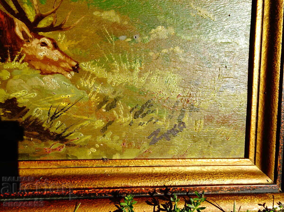 Veche pictură în ulei, Cerb, Căprioare, Câștigător, Semnătură - 5