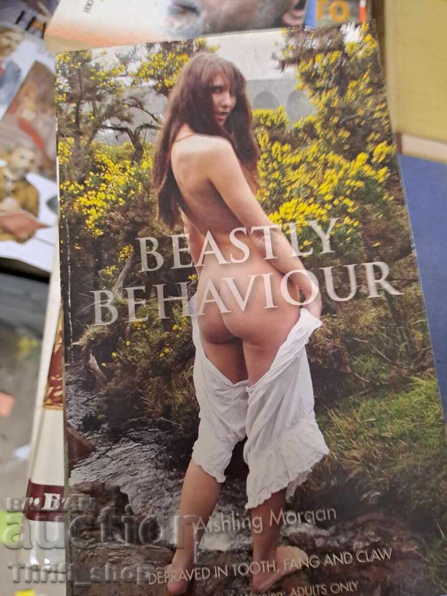 Comportament bestial