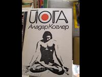 Yoga Aladar Kogler