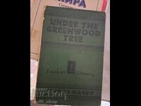 Sub umbra copacului verde