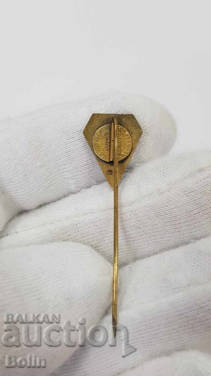 Доставка на Уникално рядък царски еврейски знак, значка 1930-1940 г.