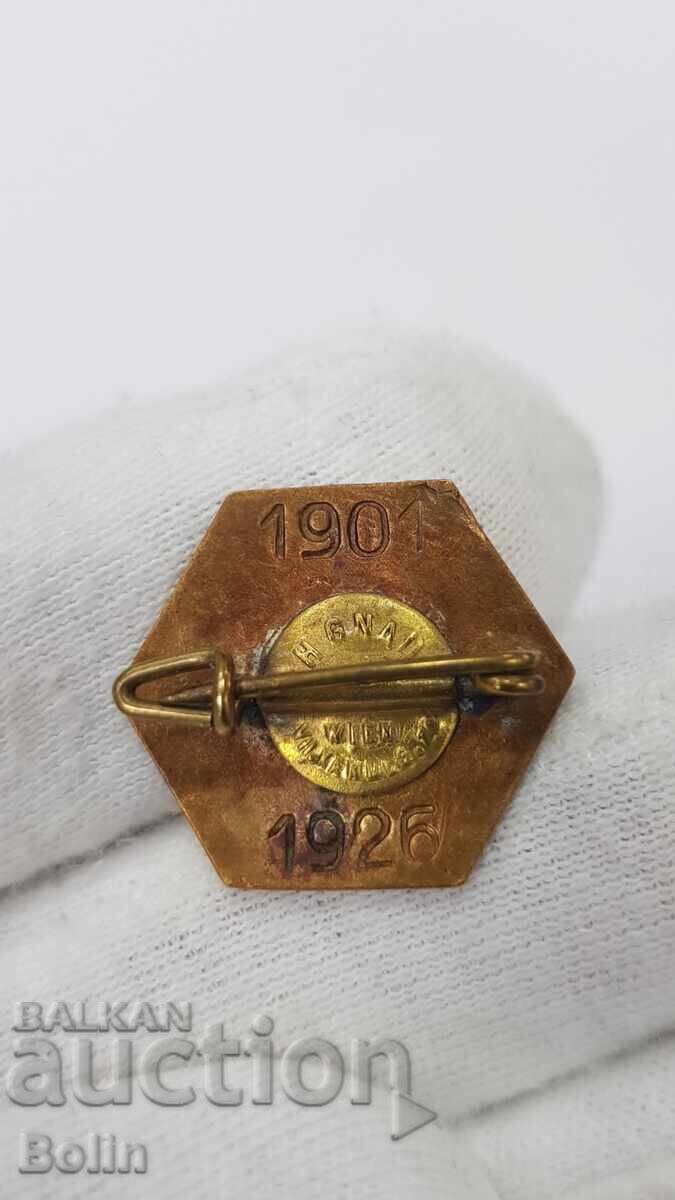 Доставка на Рядък царски знак, значка  Български Женски Съюз 1901-1926 г