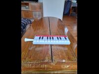 Instrument muzical pentru copii Simona, vechi