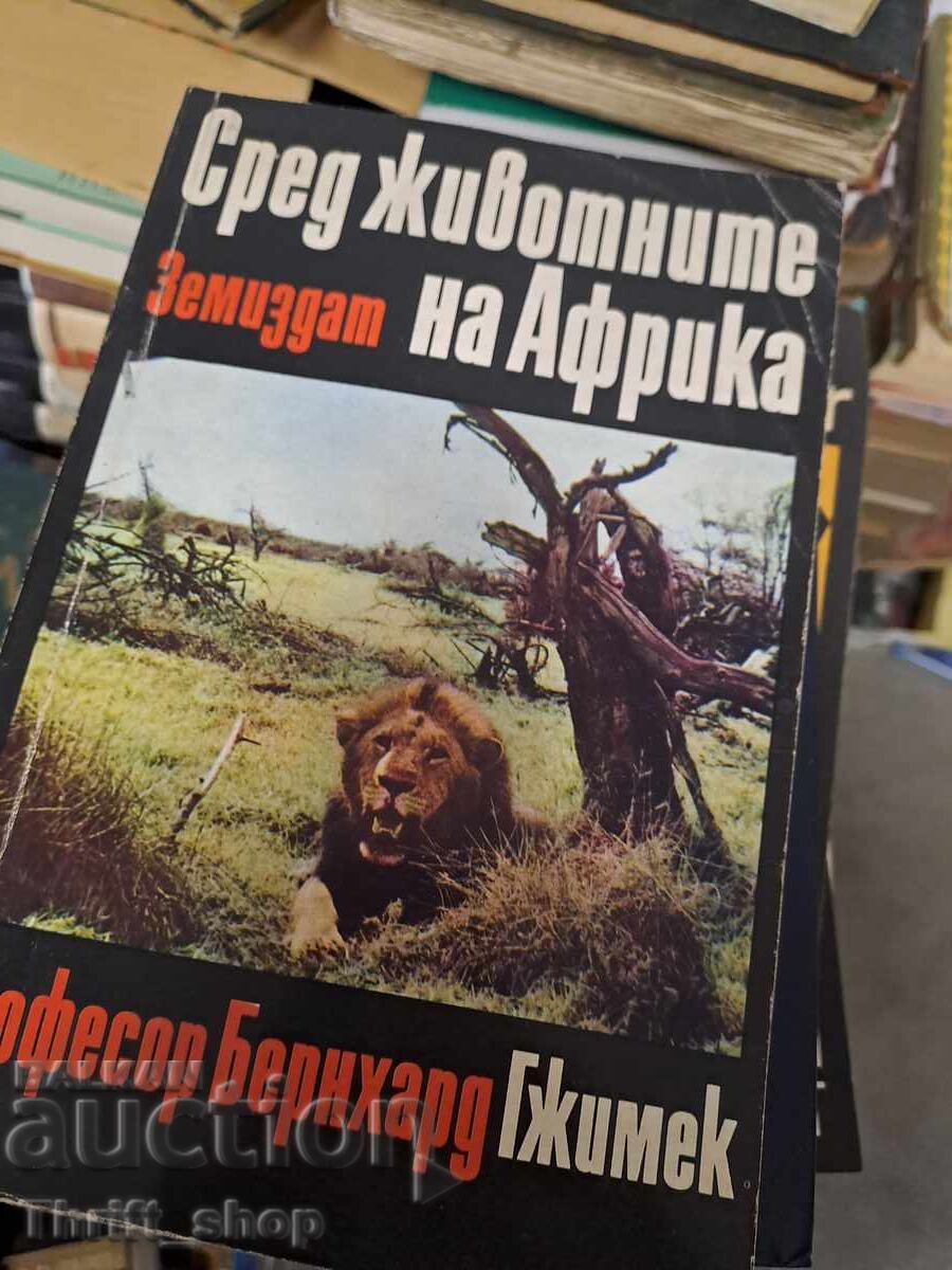 Printre animalele Africa Printre animalele Africa