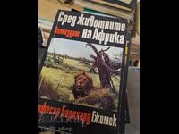 Ανάμεσα στα ζώα η Αφρική