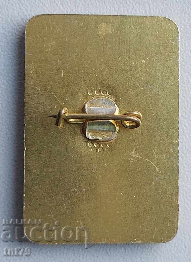 Badge: 60th Anniversary of the "Edelweiss" Tourist Society Sofia with price € 1.60 | 3.13 BGN