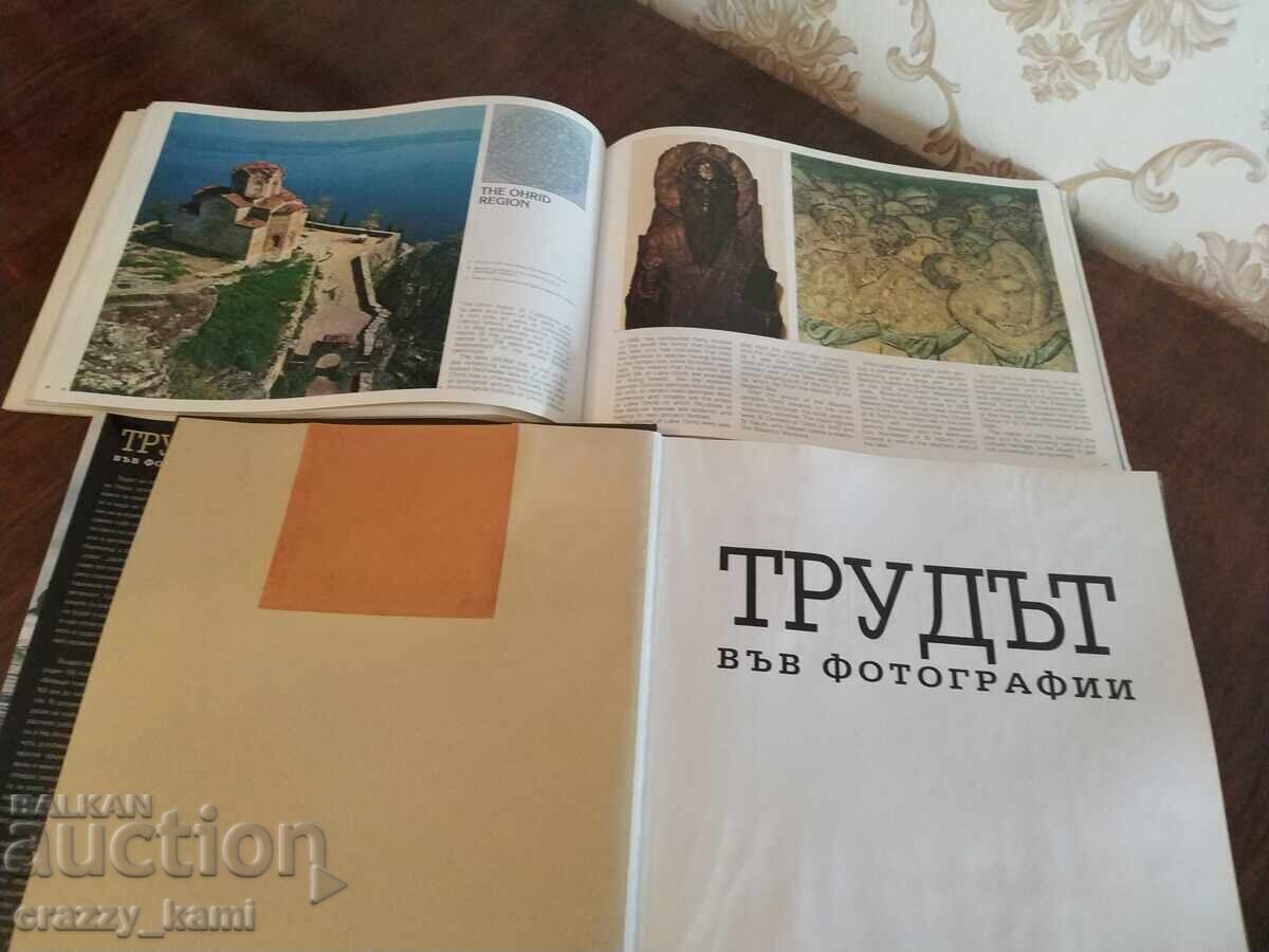 B.Z.C. from 1st St. Book photography and travel - 6 B.Z.C. from 1st St. Book photography and travel - 6