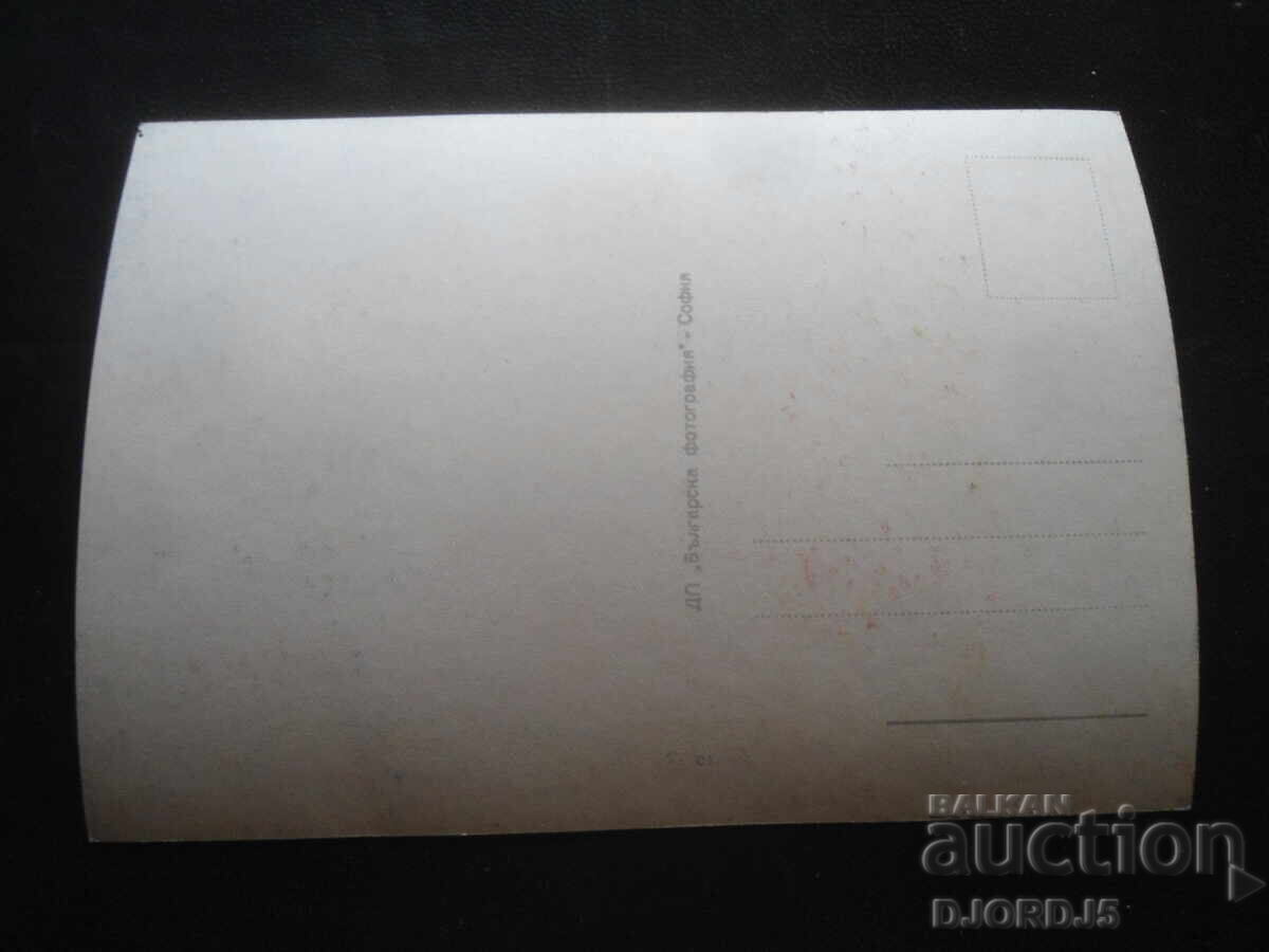 SOFIA. Casa Partidului, Carte poștală veche cu preț 2.00 BGN | € 1.02 SOFIA. Casa Partidului, Carte poștală veche cu preț 2.00 BGN | € 1.02