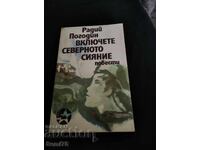 Încorporează aurora boreală - Radii Pogodin