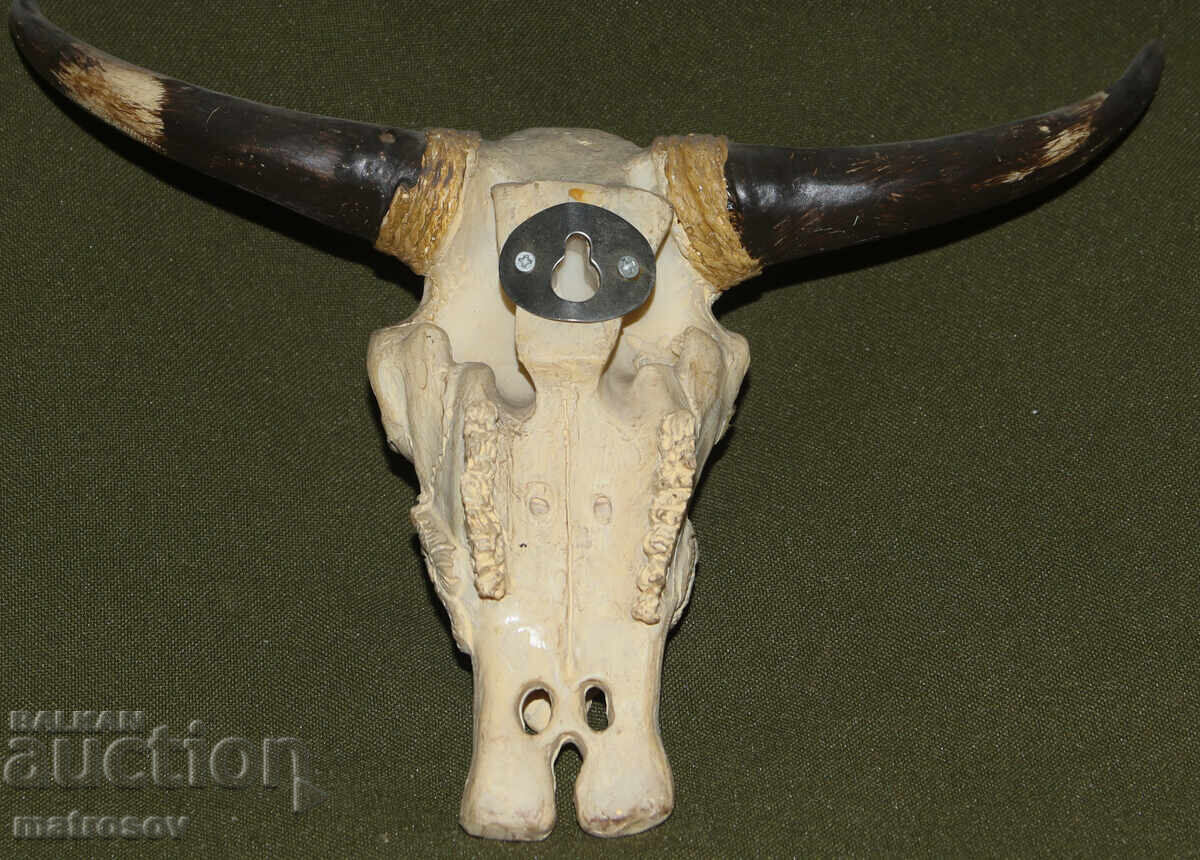 Σκούλπτρα φιγούρα κόκαλο κρανίο Κεφαλή λύκου - 5