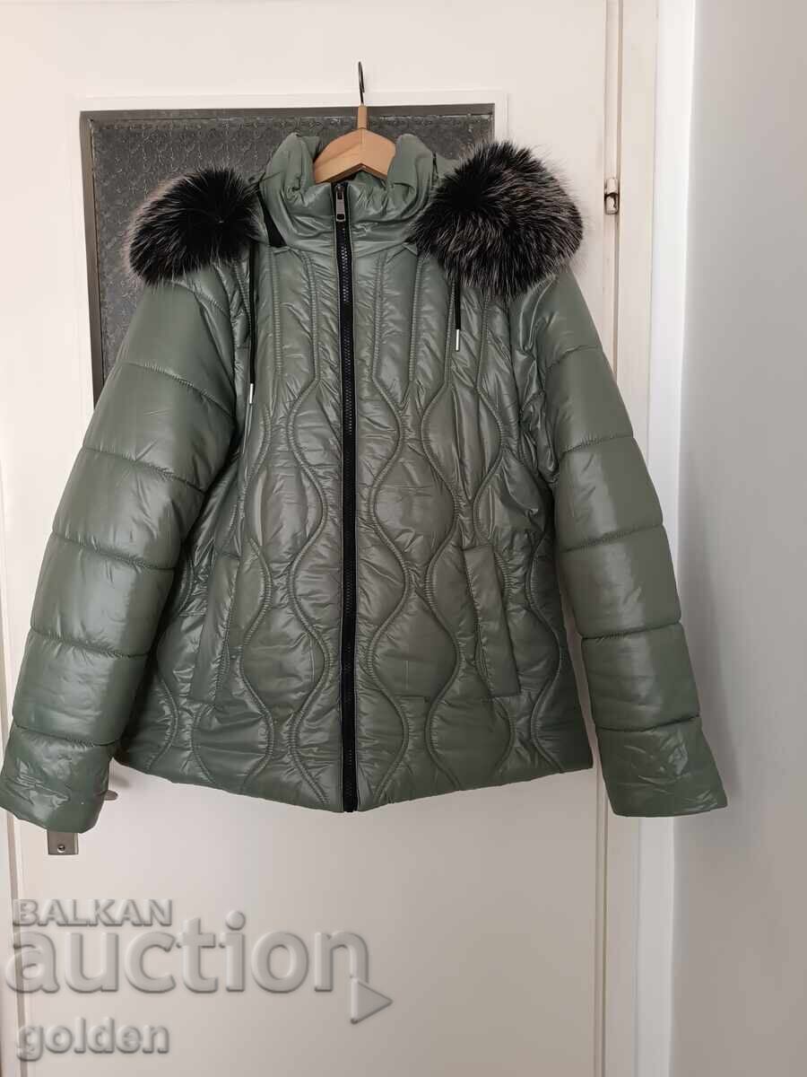 Winter jacket with a hood