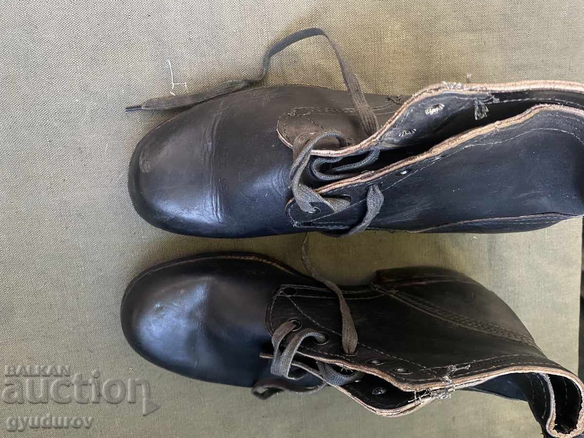 Auction Cintari Auction Cintari