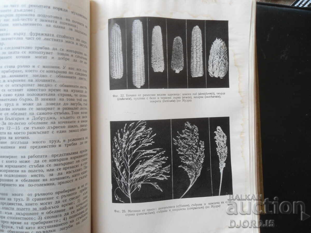 AGRICULTURE with price 12.00 BGN | € 6.14