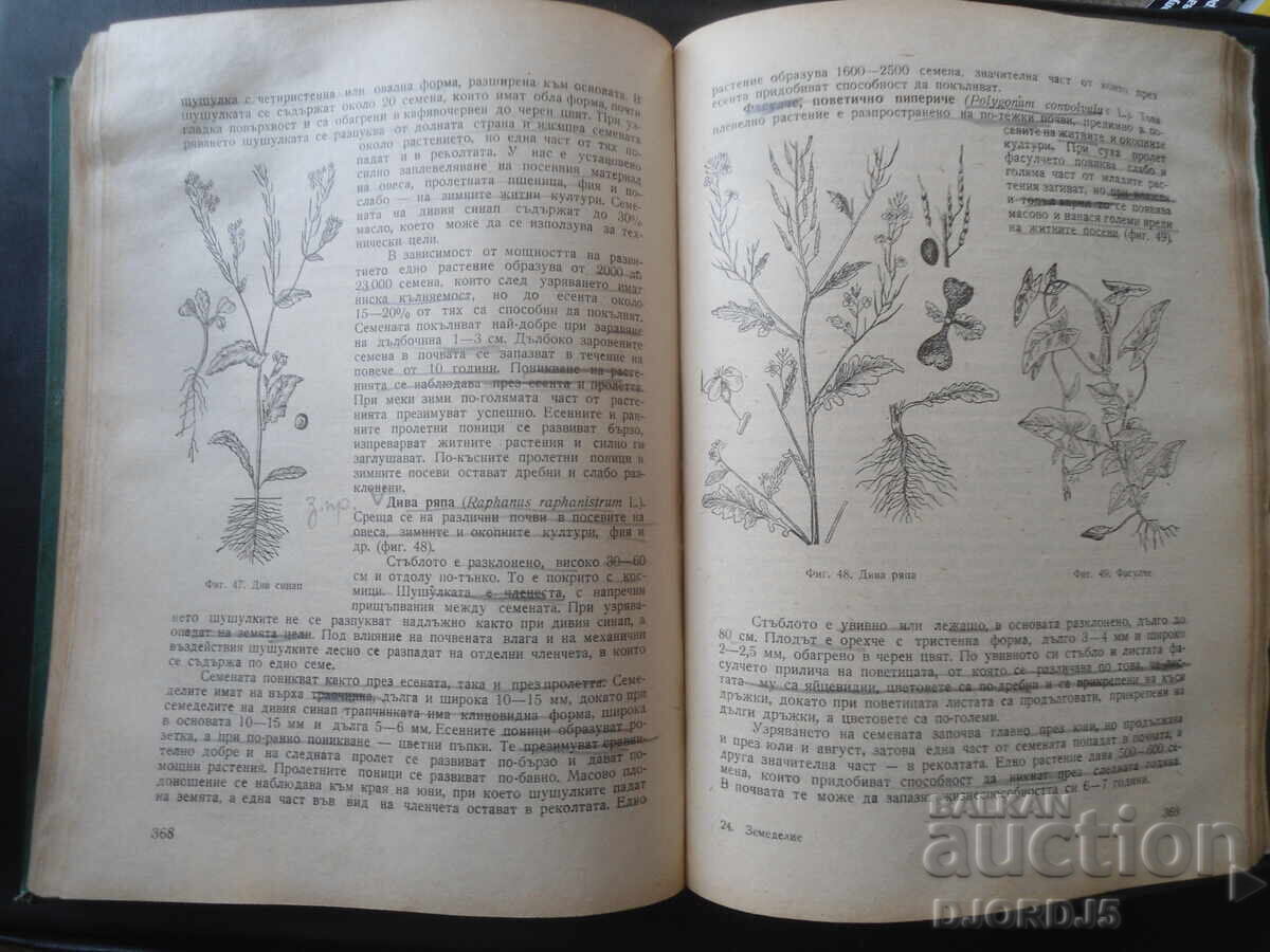 ЗЕМЕДЕЛИЕ - 7