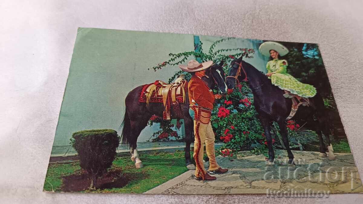 Μεξικάνικη Ταχυδρομική Κάρτα Τυπική Θέα