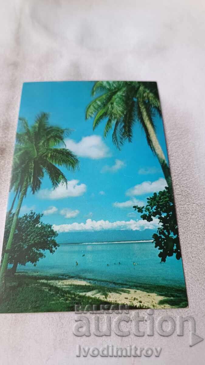 Postcard TAHITI Landscape of Moorea Postcard TAHITI Landscape of Moorea
