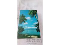 Postcard TAHITI Landscape of Moorea