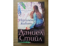 Perfect Life - Danielle Steel