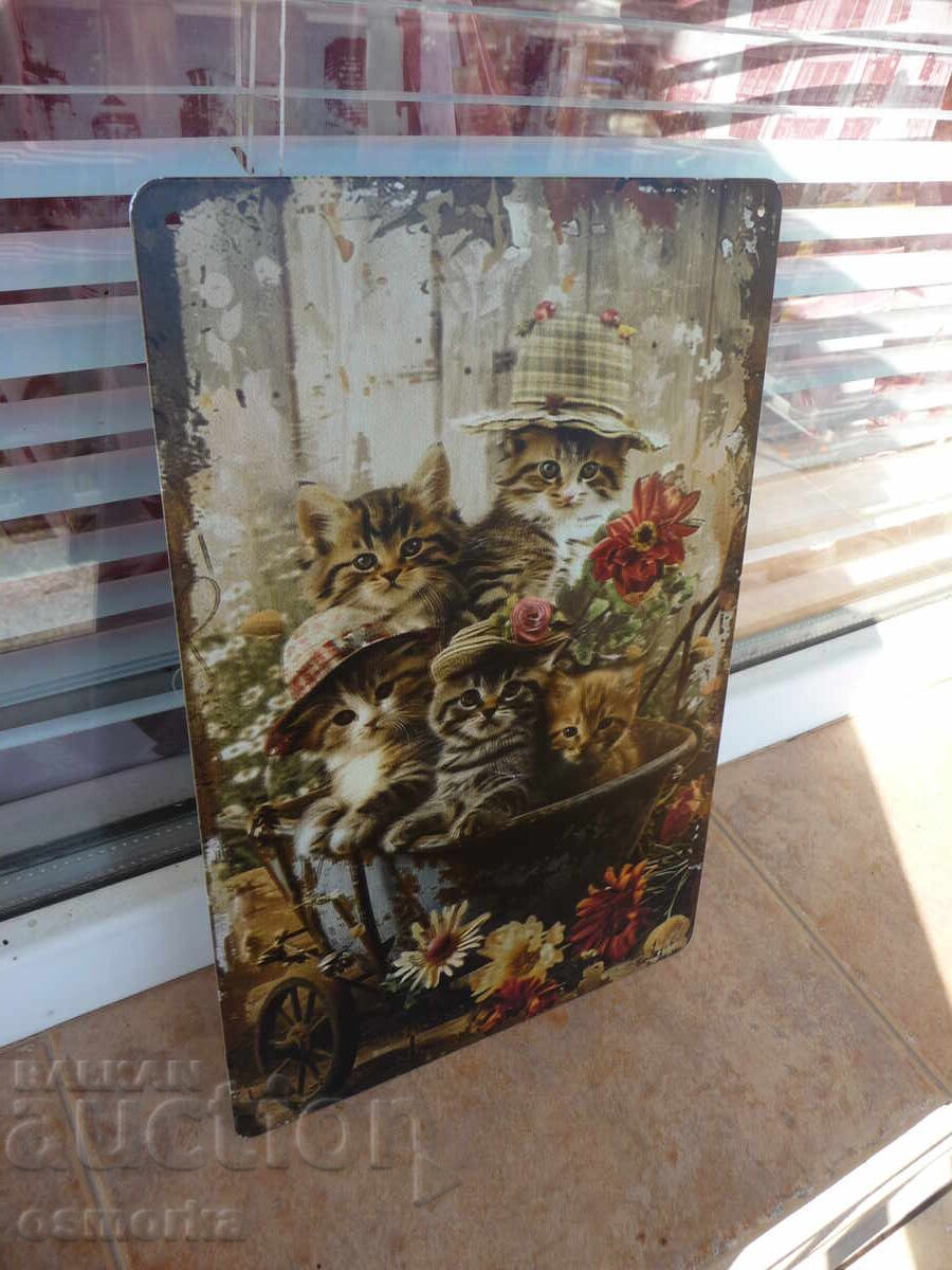 Метална табела котета котенца цветя саксия разни количка сла с цена 18.00 лв. | € 9.20 Метална табела котета котенца цветя саксия разни количка сла с цена 18.00 лв. | € 9.20