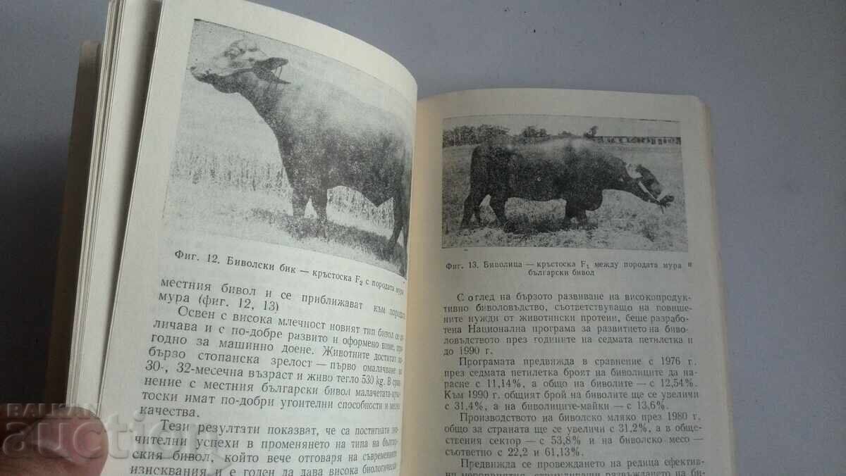 Livrarea BIVOLUL - ANIMAL ECONOMIC AVANTAJOS ÎN GOSPODĂRIA PERSONALĂ