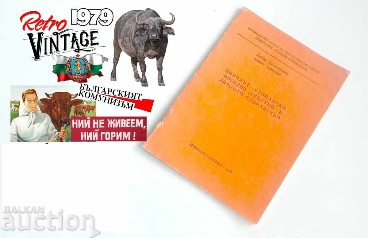 BIVOLUL - ANIMAL ECONOMIC AVANTAJOS ÎN GOSPODĂRIA PERSONALĂ