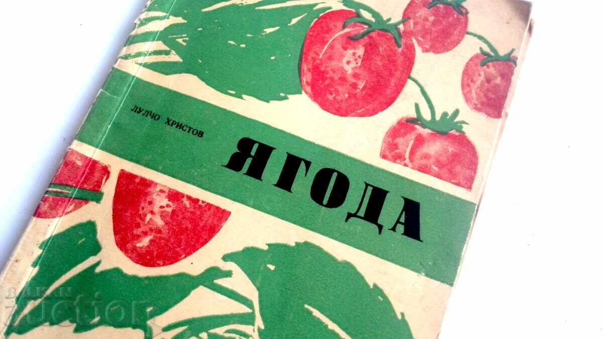 Fructe de pădure Lulcio Hristov cu preț 12.00 BGN | € 6.14