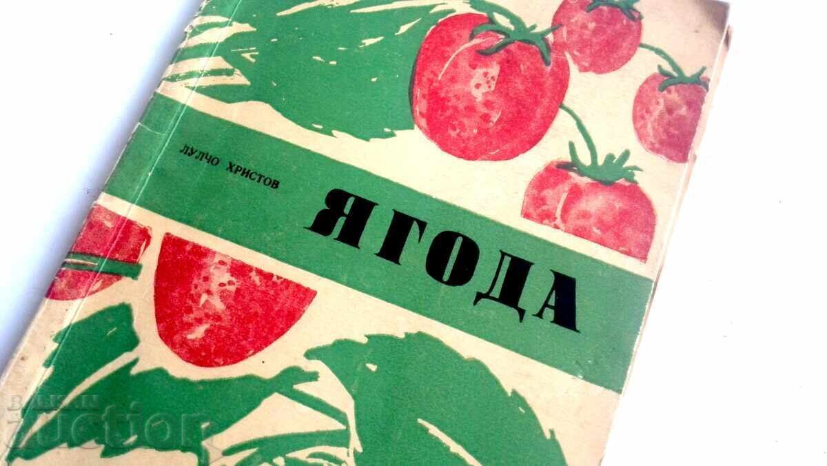 Fructe de pădure Lulcio Hristov cu preț € 5.00 | 9.78 BGN Fructe de pădure Lulcio Hristov cu preț € 5.00 | 9.78 BGN