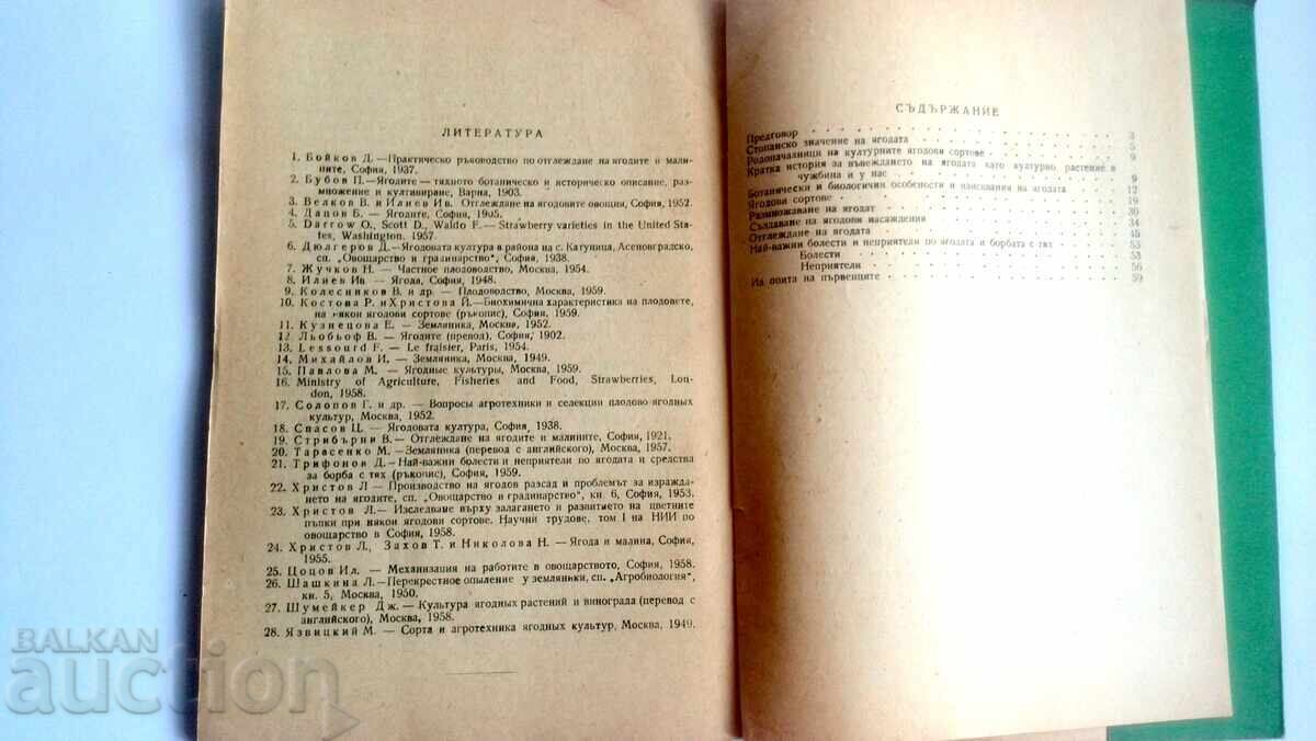 Livrarea Fructe de pădure Lulcio Hristov Livrarea Fructe de pădure Lulcio Hristov