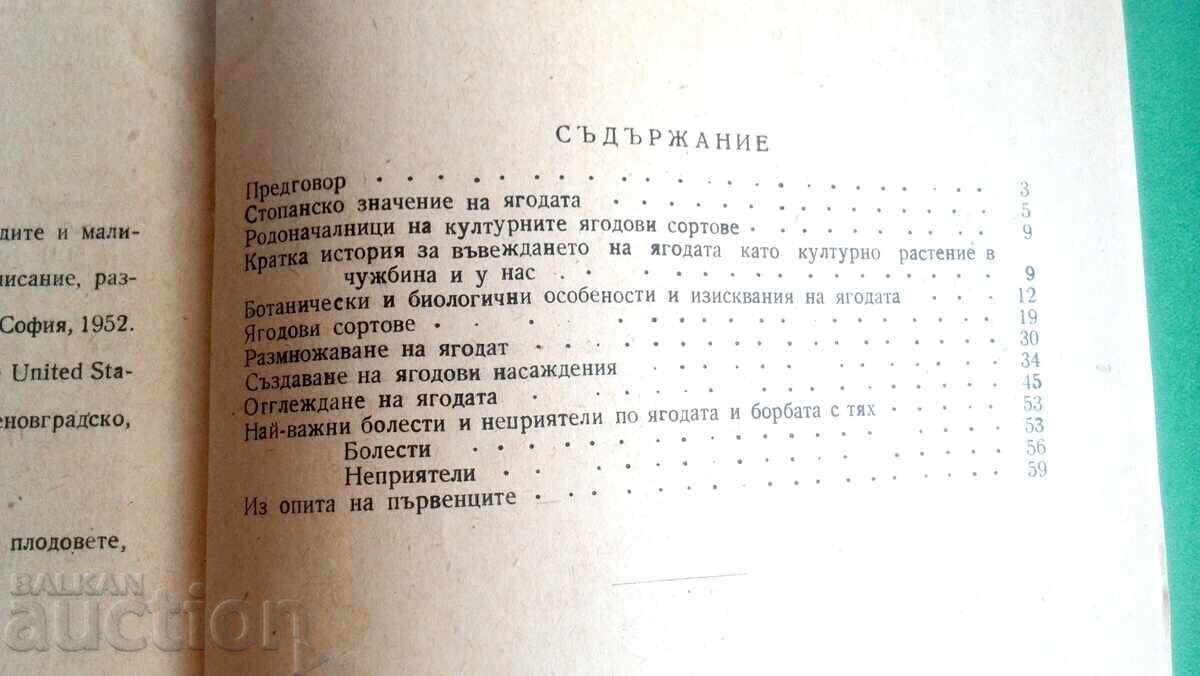 Fructe de pădure Lulcio Hristov - 5