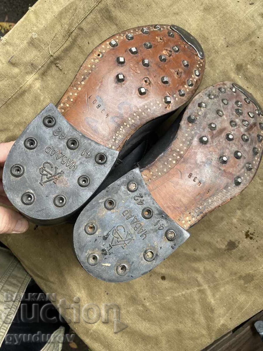 Auction Cintari Auction Cintari