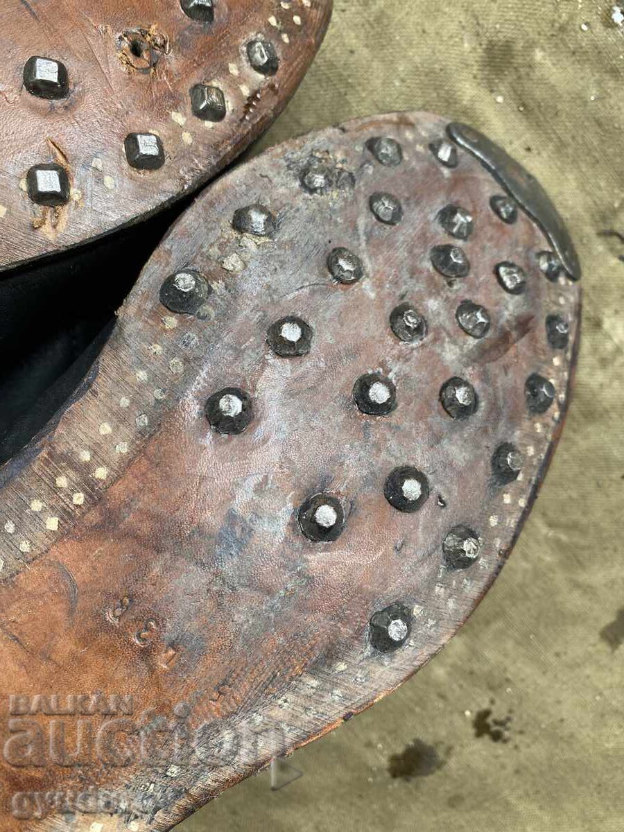 Cintari - 5 Cintari - 5