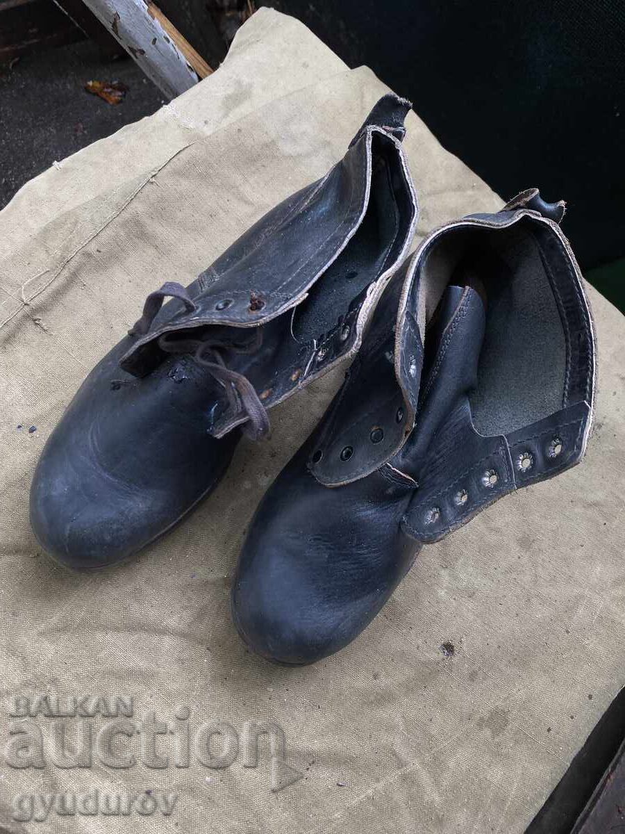 Cintari - 7 Cintari - 7