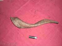 TROFEU CORN MARE DE CAPRĂ NEAGRĂ cornuri