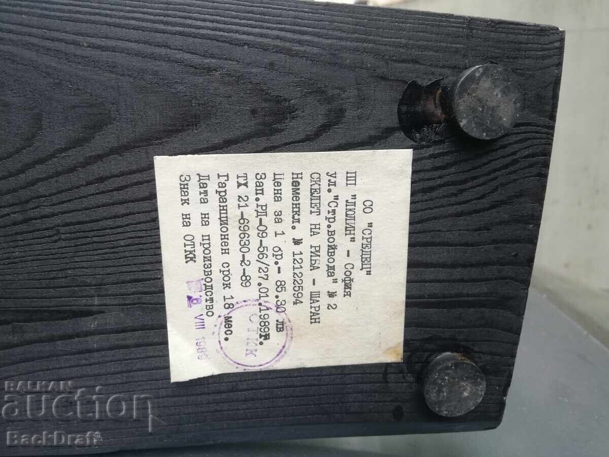 1989 Rare Soviet Educational Model Carp Skeleton - 6