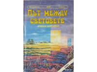 The Way Between the Worlds by Andre Norton, Stepan Vartanov