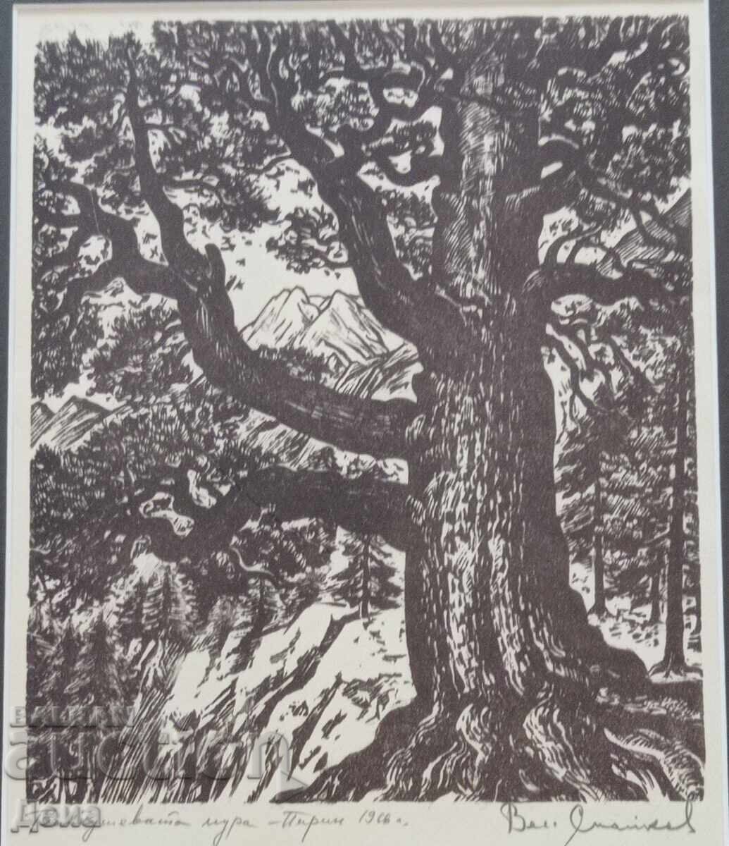 Γραβούρα Βεσελίν Στάικοφ 1966 με τιμή 280.00 BGN | € 143.16 Γραβούρα Βεσελίν Στάικοφ 1966 με τιμή 280.00 BGN | € 143.16