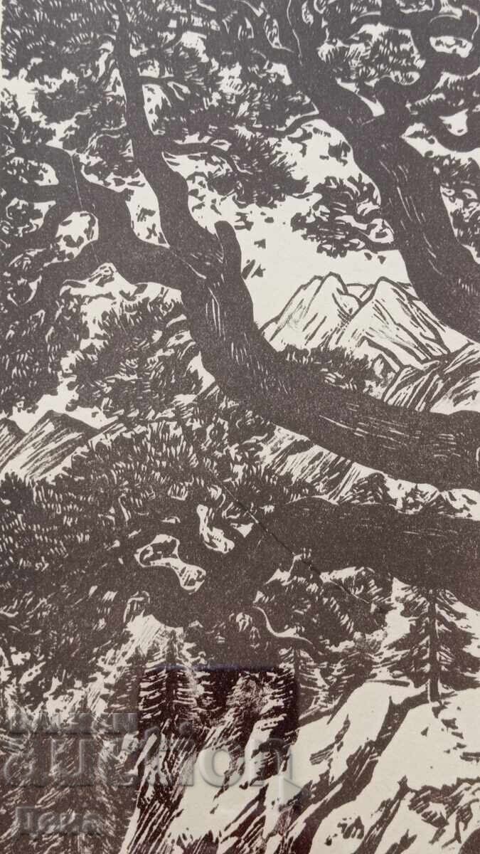 Γραβούρα Βεσελίν Στάικοφ 1966 - 5 Γραβούρα Βεσελίν Στάικοφ 1966 - 5