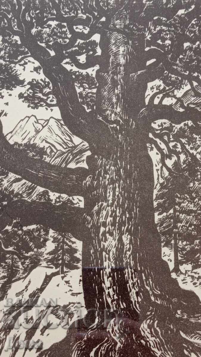 Γραβούρα Βεσελίν Στάικοφ 1966 - 6 Γραβούρα Βεσελίν Στάικοφ 1966 - 6